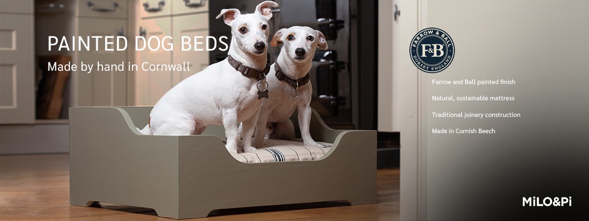 Painted Dog Beds