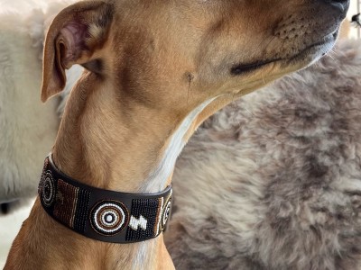 Cornish online dog collars