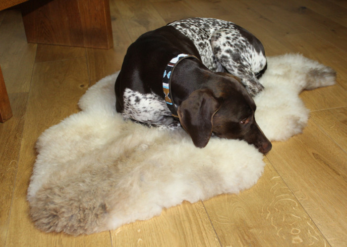 British Rare Breed Naturally Coloured Sheepskins