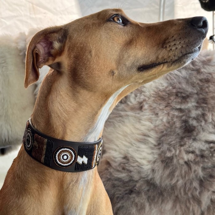 Greyhound Maasai Beaded Dog Collar 