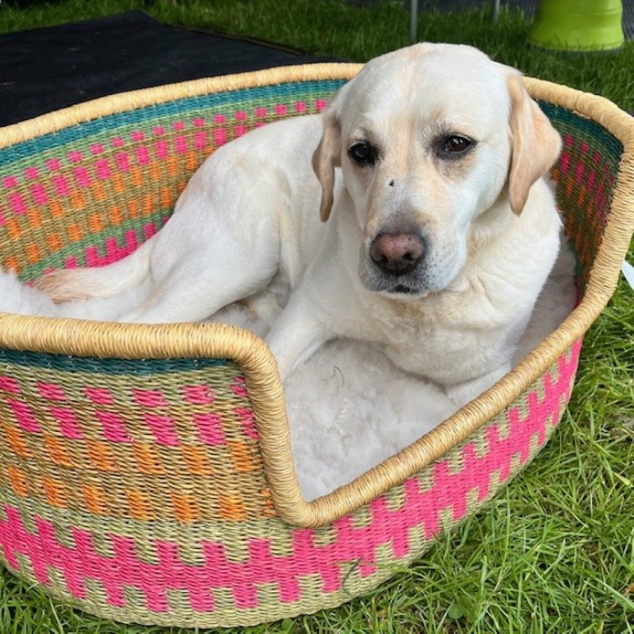 Handwoven dog baskets