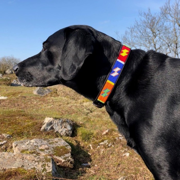 Large Wide  Maasai Beaded Dog Collar