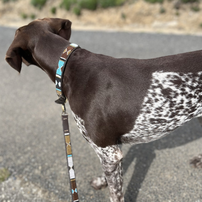 Maasai Leather Beaded Dog Collar and Leash /Lead Sets