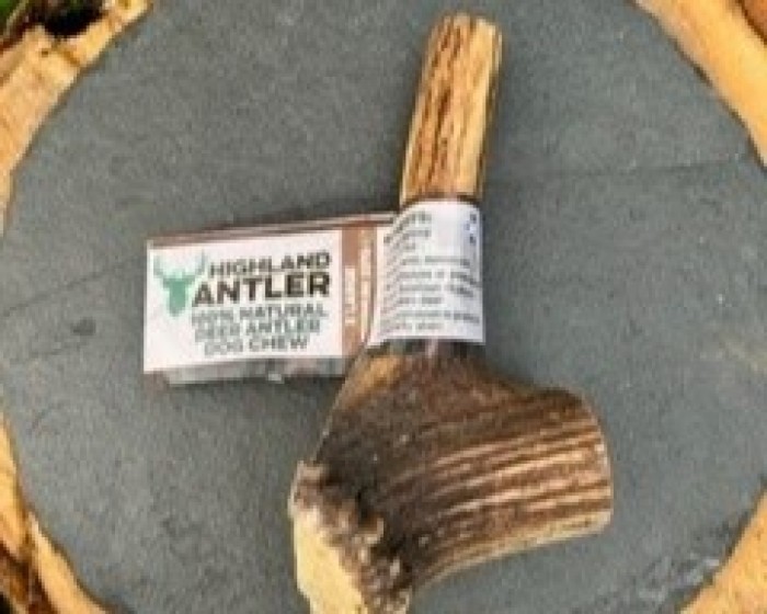 Natural Deer Antler Dog Chew