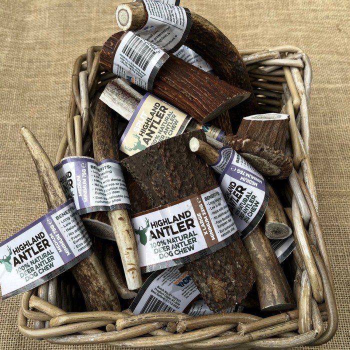 Natural Deer Antler Dog Chew
