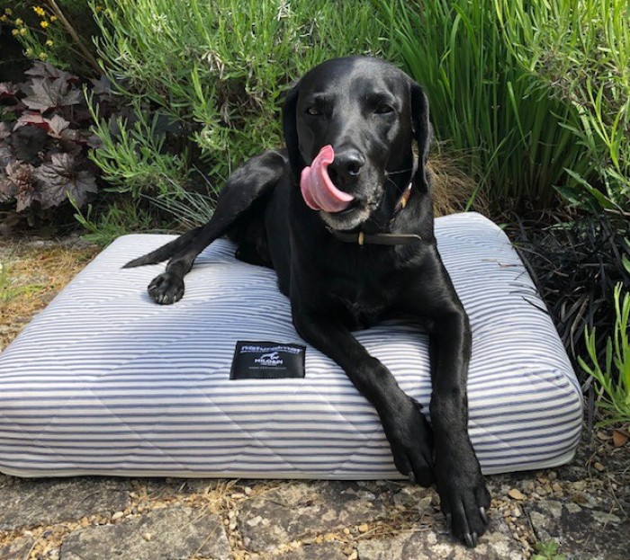 Orthopaedic dog bed 