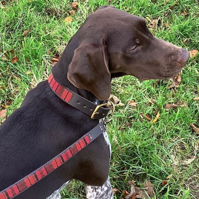 Red Stripe  Maasai Dog Collar and Lead set