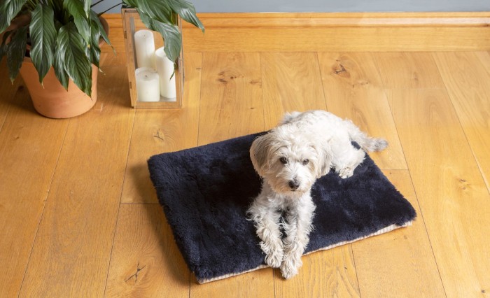 Sheepskin dog travel mat