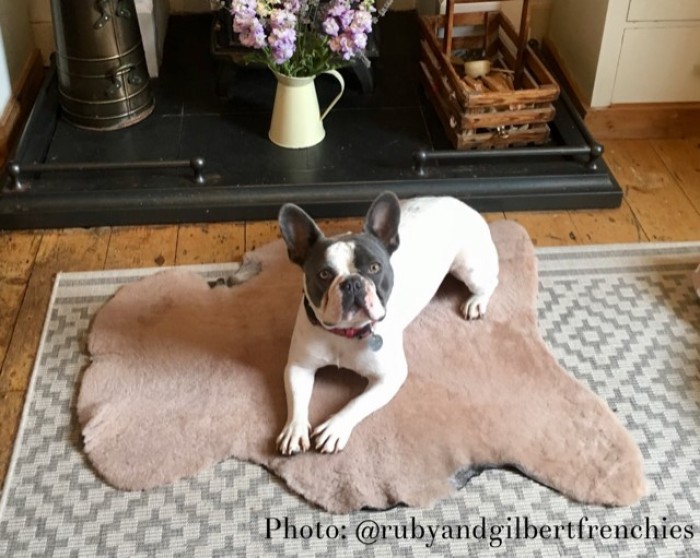 Shearling Lambswool  Throw
