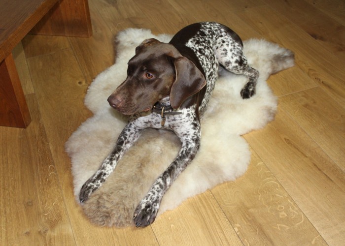 Sheepskin Rugs