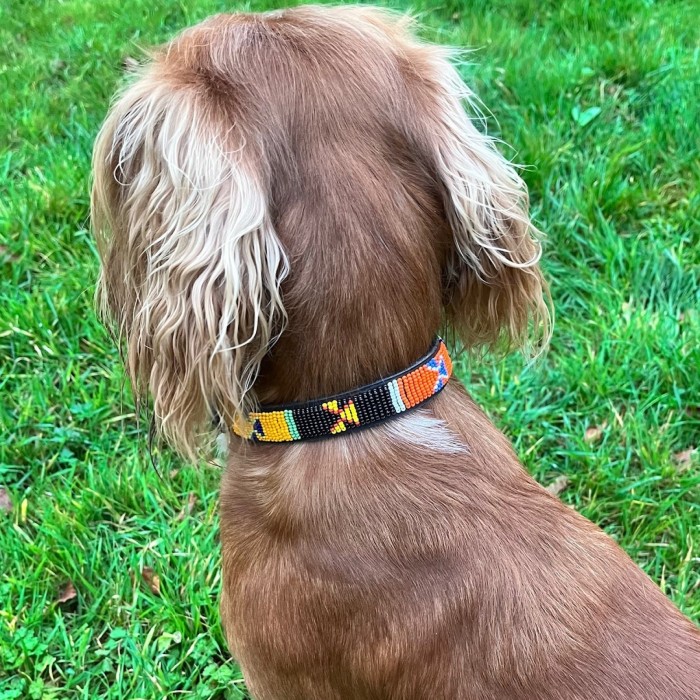 Small Maasai Beaded Dog Collar fits neck 33-36cm