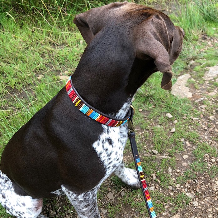 Striped Maasai Dog Collar and Lead set