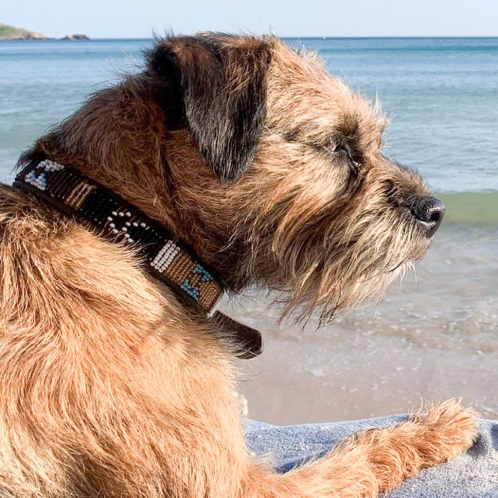 Terrier Maasai Beaded Leather Dog Collar