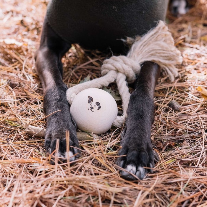 Top Knot Wood and Hemp Rope Dog Toy