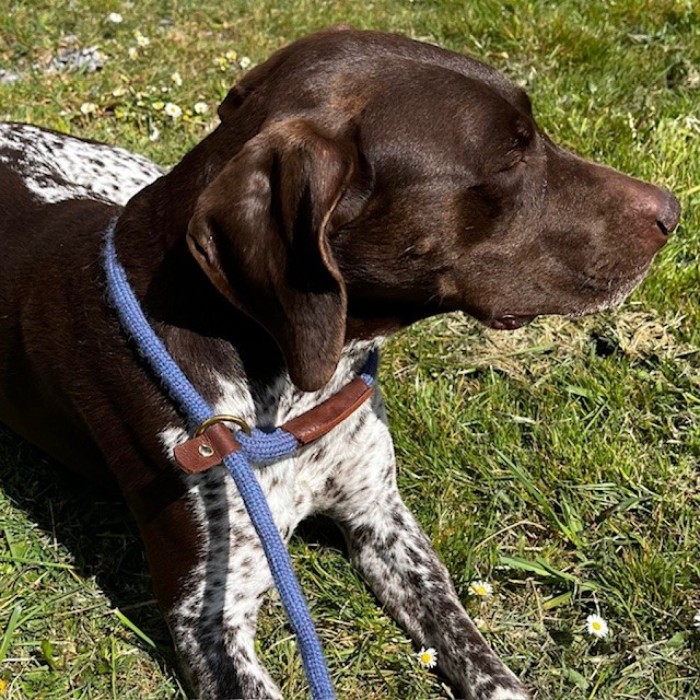 Twool Dartmoor Wool Dog Leads