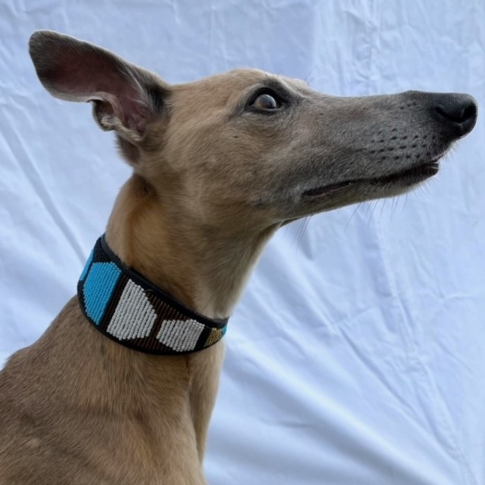 Whippet Maasai Beaded fishtail collar