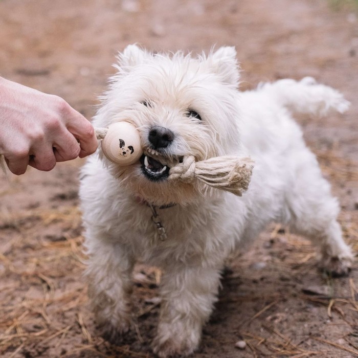 Tug-a-Ball Wood and Hemp Rope Dog Toy