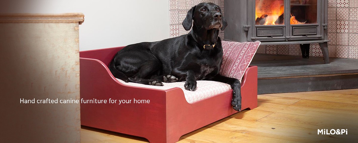 Milo best dog bed shop