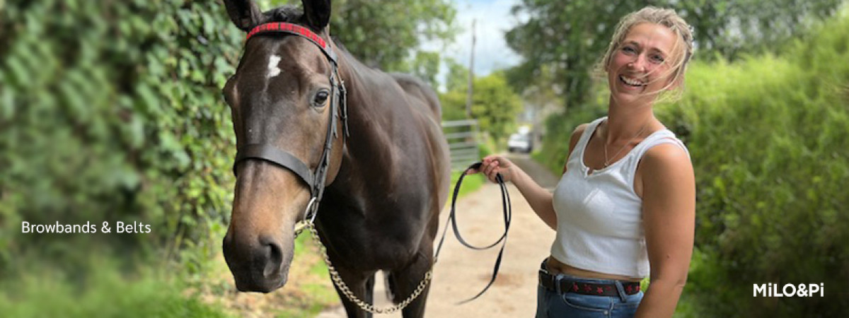Browbands & Belts