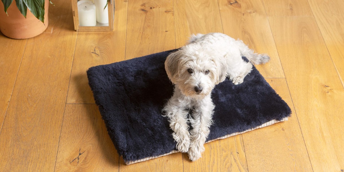 Dog Mattress Natural Fibre Day & Travel Cushions Milo