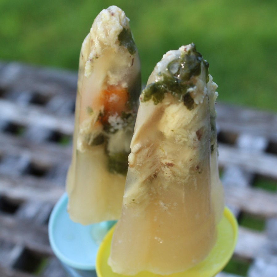 dog ice lollies homemade